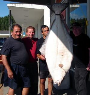Armando Santos and a group of friends from Prince George weighed in a 150lb. halibut Friday August 3rd.  They were fishing the outer waters of  Douglas Channel in the Campania Island area.  Congratulations to Armando and his group!